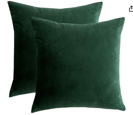 Green Velvet Throw Pillow Cover